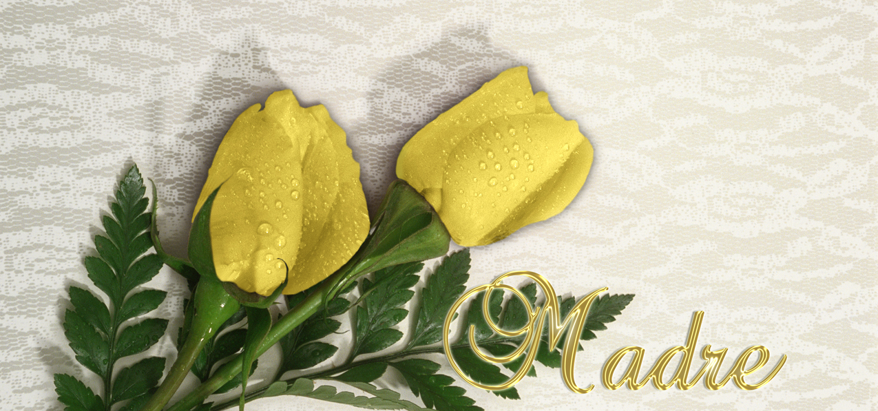 2 Roses Yellow Gold Madre (Spanish)